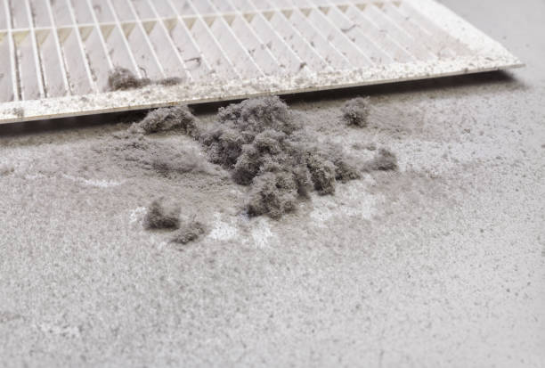 Best Best Air Duct Cleaning Company  in Lucerne, CA